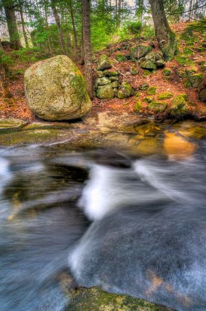 74  CW745  Bicknell Brook along the Colette Trail.jpg